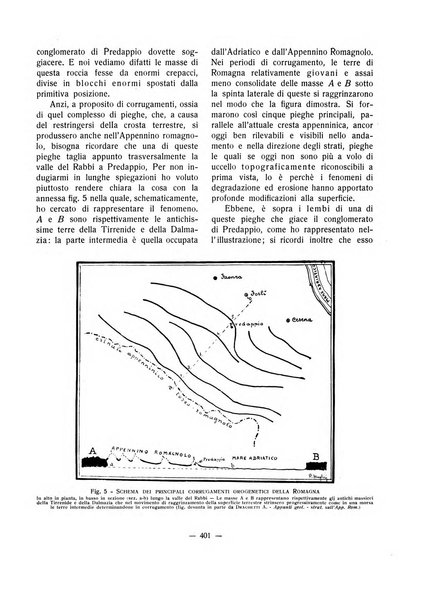 Forum Livii rivista d'attivita municipale della citta di Forlì