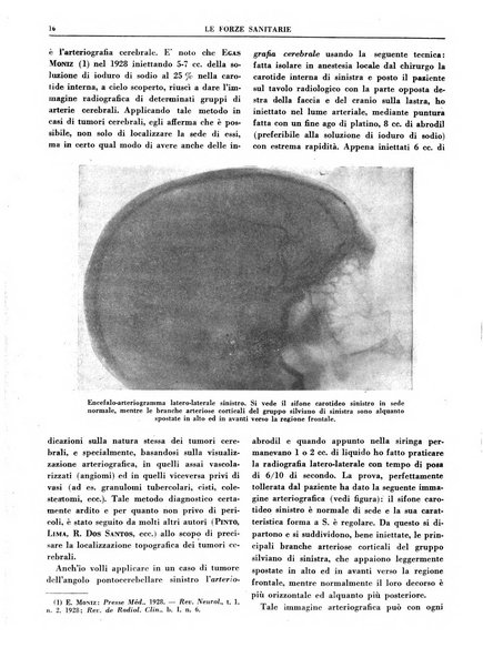 Le forze sanitarie organo ufficiale del Sindacato nazionale fascista dei medici e degli ordini dei medici