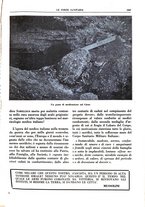 giornale/TO00184515/1934/V.2/00000805