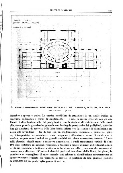 Le forze sanitarie organo ufficiale del Sindacato nazionale fascista dei medici e degli ordini dei medici