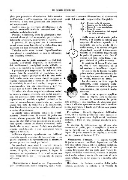 Le forze sanitarie organo ufficiale del Sindacato nazionale fascista dei medici e degli ordini dei medici