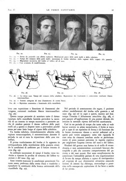 Le forze sanitarie organo ufficiale del Sindacato nazionale fascista dei medici e degli ordini dei medici