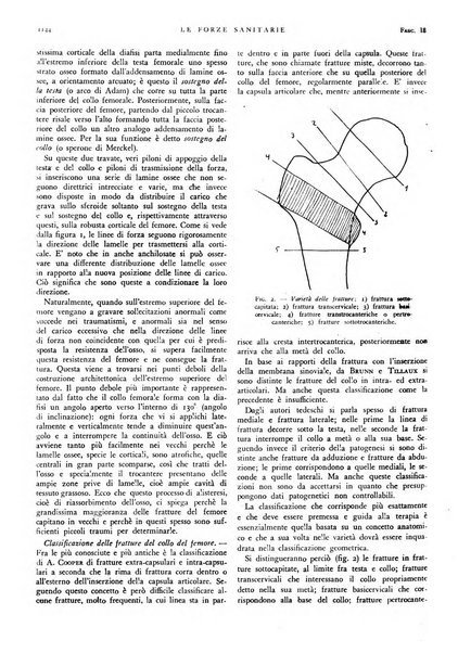 Le forze sanitarie organo ufficiale del Sindacato nazionale fascista dei medici e degli ordini dei medici