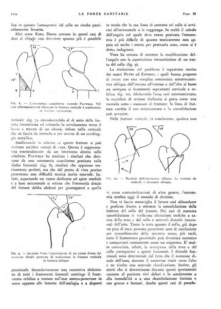 Le forze sanitarie organo ufficiale del Sindacato nazionale fascista dei medici e degli ordini dei medici