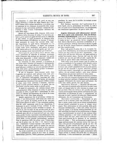 Gazzetta medica di Roma