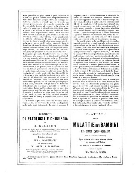 Gazzetta medica di Roma