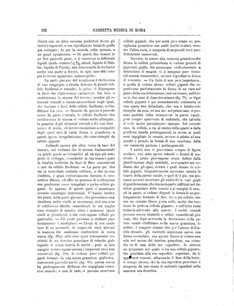 Gazzetta medica di Roma