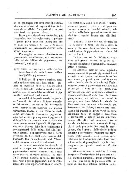 Gazzetta medica di Roma