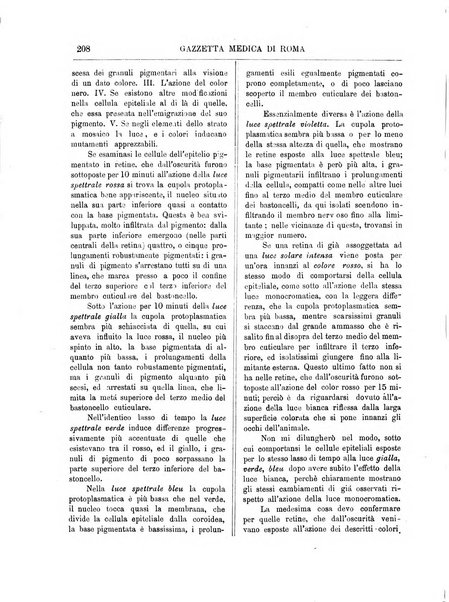 Gazzetta medica di Roma