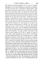 giornale/TO00184789/1889/unico/00000035