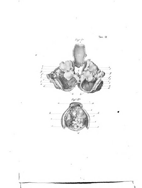 Gazzetta medica lombarda