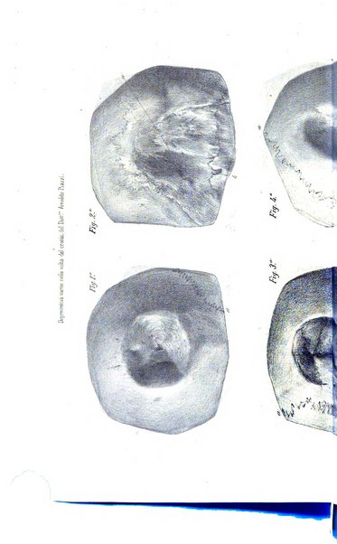 Gazzetta medica lombarda