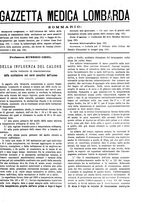 giornale/TO00184793/1894/unico/00000199
