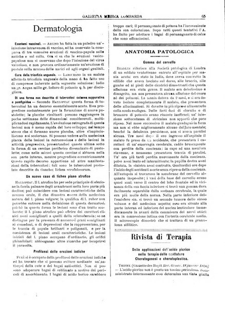 Gazzetta medica lombarda