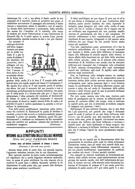 Gazzetta medica lombarda