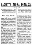 giornale/TO00184793/1899/unico/00000807