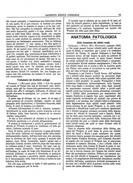 Gazzetta medica lombarda