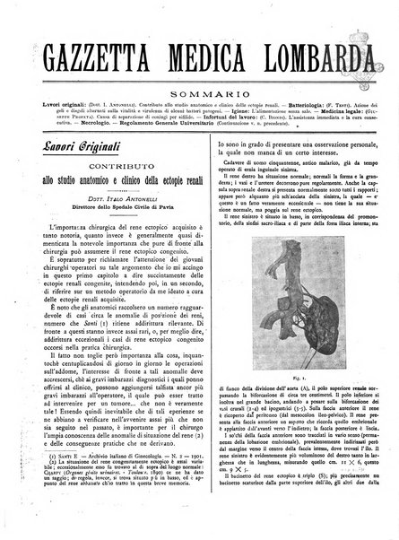 Gazzetta medica lombarda