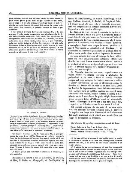 Gazzetta medica lombarda