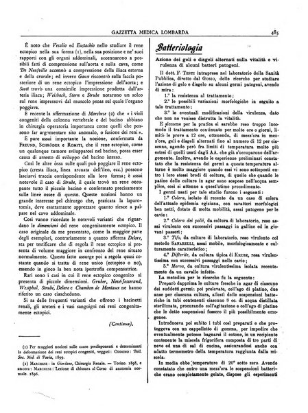 Gazzetta medica lombarda