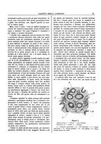 giornale/TO00184793/1903/unico/00000133