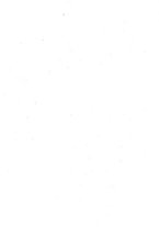 giornale/TO00184793/1919/unico/00000003