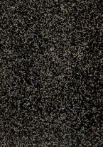 giornale/TO00184793/1921/unico/00000001