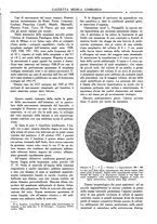 giornale/TO00184793/1934/unico/00000079