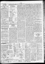 giornale/TO00184828/1856/novembre/35