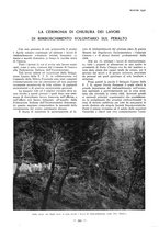 giornale/TO00184871/1930/V.1/00000623