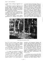 giornale/TO00184871/1933/V.1/00000464