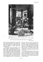 giornale/TO00184871/1933/V.1/00000509