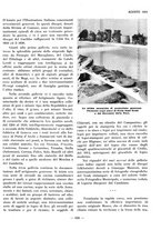 giornale/TO00184871/1934/V.2/00000125