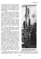 giornale/TO00184871/1934/V.2/00000361