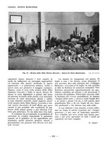 giornale/TO00184871/1934/V.2/00000366