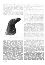 giornale/TO00184871/1937/V.2/00000414