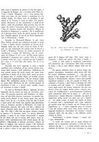 giornale/TO00184871/1939/unico/00001009