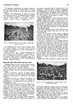 giornale/TO00184956/1935/unico/00000159