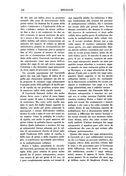 Gerarchia rivista politica