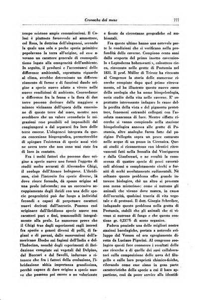 Gerarchia rivista politica