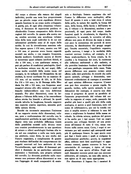 Gerarchia rivista politica