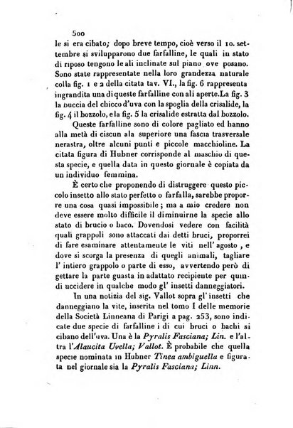 Giornale agrario toscano