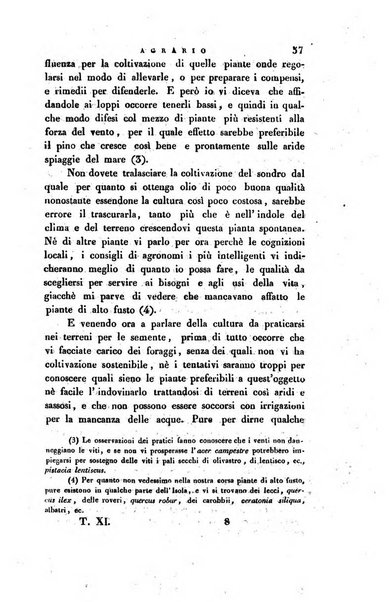 Giornale agrario toscano