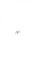 giornale/TO00185021/1893/v.21/00000091