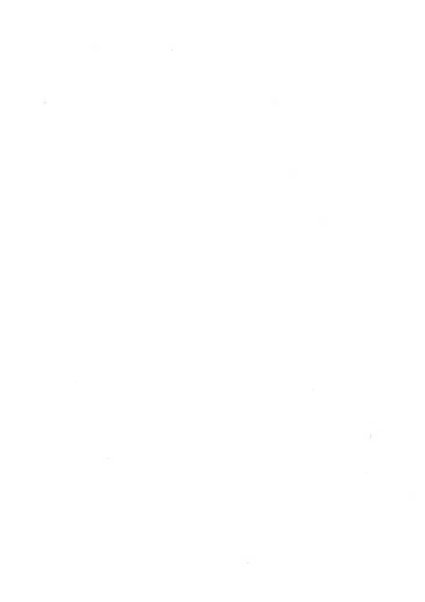 Giornale araldico, genealogico, diplomatico italiano