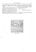 giornale/TO00185035/1915/unico/00000039