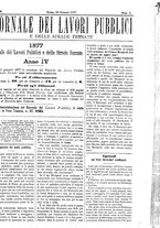 giornale/TO00185065/1877/unico/00000013