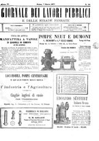 giornale/TO00185065/1877/unico/00000517