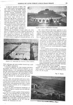 giornale/TO00185065/1906/unico/00000203