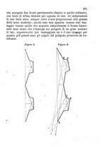 giornale/TO00185079/1866/unico/00000507